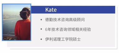 编程技能 叩开技术咨询公司大门的金钥匙