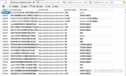 女鞋市场调查技术咨询 洞察趋势与优化决策